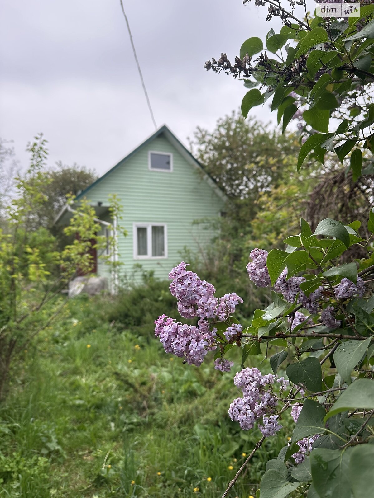 одноэтажный дом, 30 кв. м, СИП. Продажа в Майдане фото 1 одноэтажный дом, 30 кв. м, СИП. Продажа в Майдане фото 1