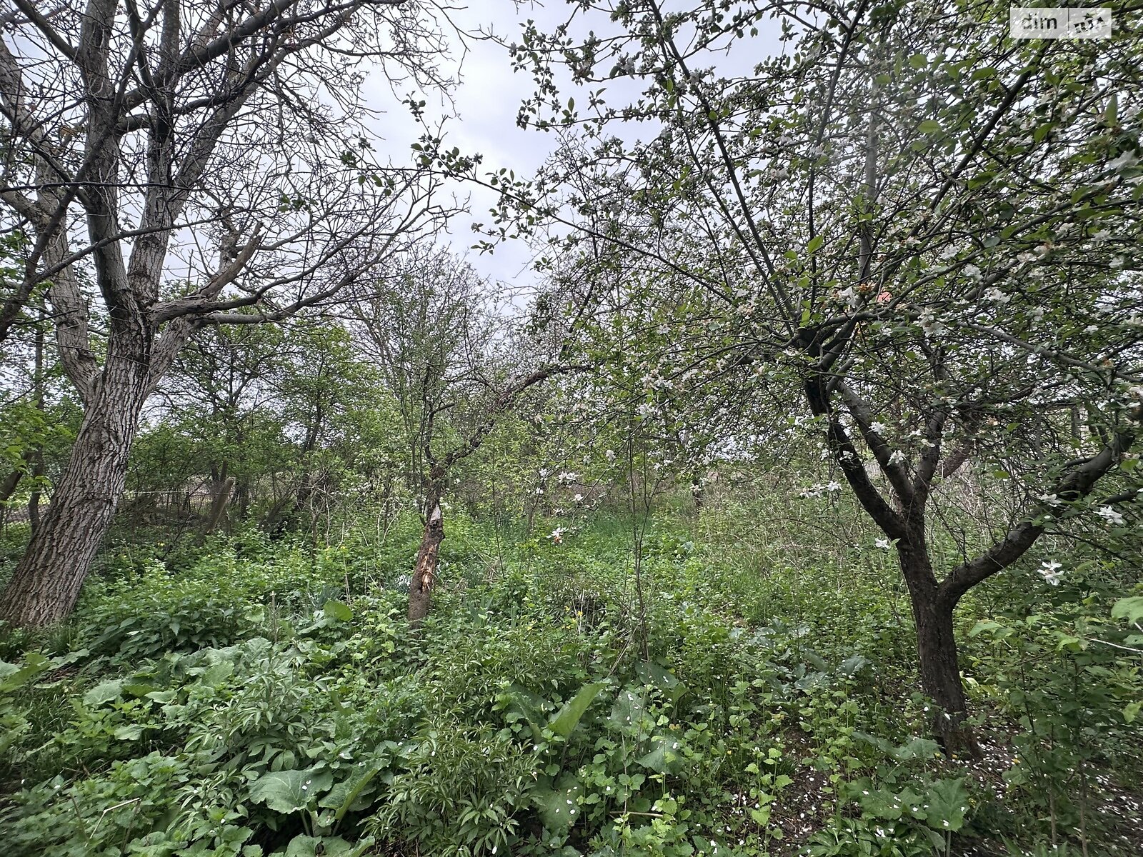 одноэтажный дом, 30 кв. м, СИП. Продажа в Майдане фото 1 одноэтажный дом, 30 кв. м, СИП. Продажа в Майдане фото 1
