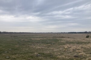 одноэтажный дом, 41.3 кв. м, брус. Продажа в Майдане фото 2