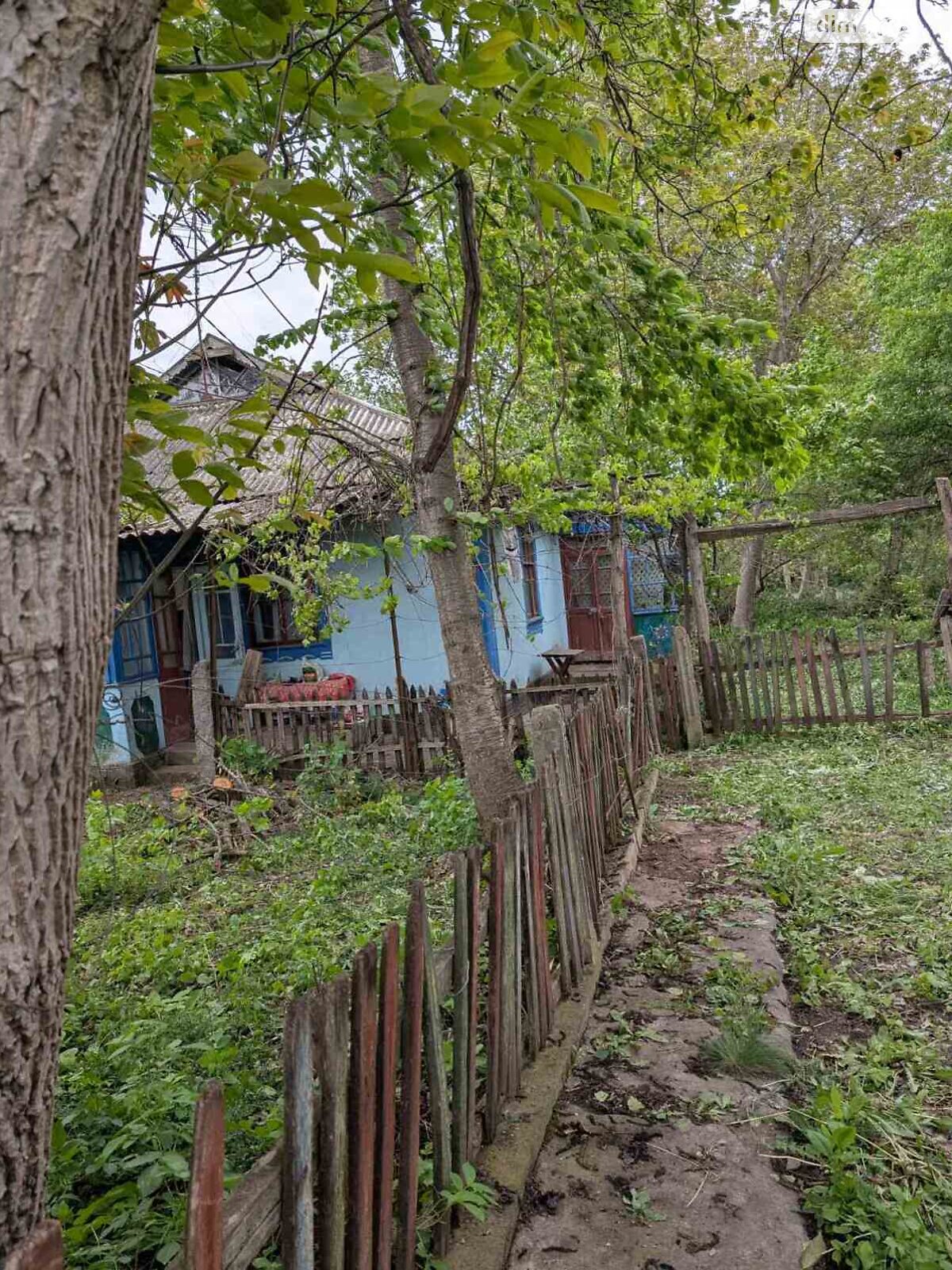 одноэтажный дом, 65 кв. м, кирпич. Продажа в Иосиповке фото 1 одноэтажный дом, 65 кв. м, кирпич. Продажа в Иосиповке фото 1