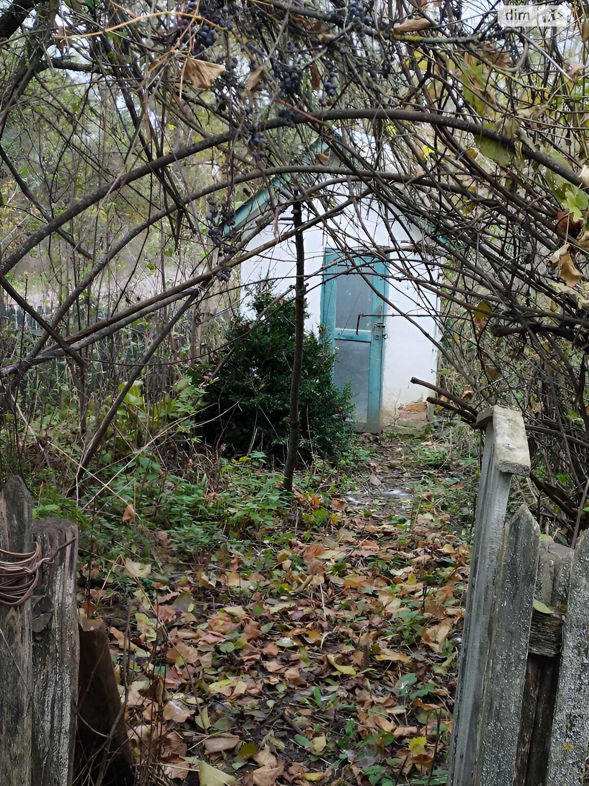 одноповерховий будинок з верандою, 51 кв. м, цегла. Продаж у Медці фото 1 одноповерховий будинок з верандою, 51 кв. м, цегла. Продаж у Медці фото 1