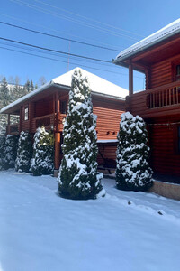 двоповерховий будинок, 330 кв. м, дерево та цегла. Продаж у Пилипці фото 2