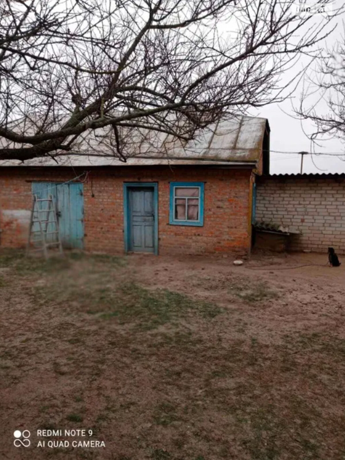 одноповерховий будинок з опаленням, 54 кв. м, цегла. Продаж у Мельниках фото 1 одноповерховий будинок з опаленням, 54 кв. м, цегла. Продаж у Мельниках фото 1