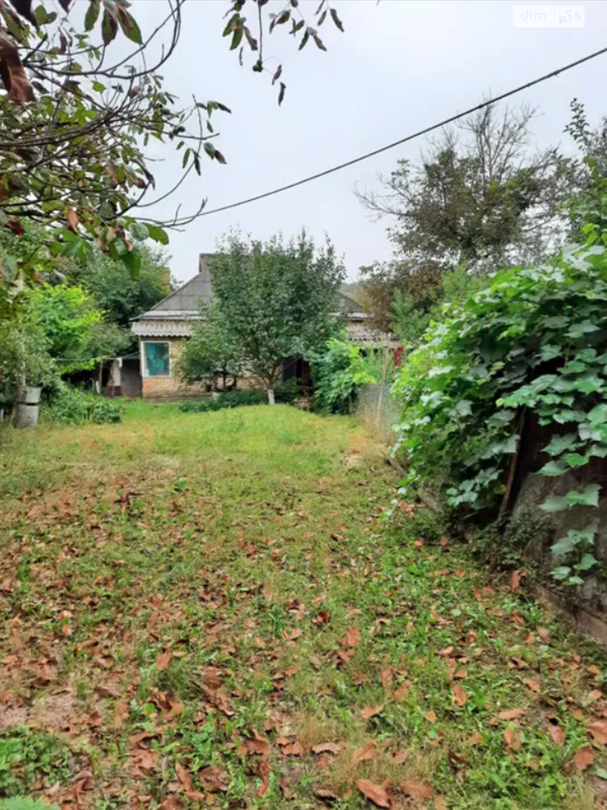 одноповерховий будинок з гаражем, 60 кв. м, цегла. Продаж у Мельниках фото 1 одноповерховий будинок з гаражем, 60 кв. м, цегла. Продаж у Мельниках фото 1