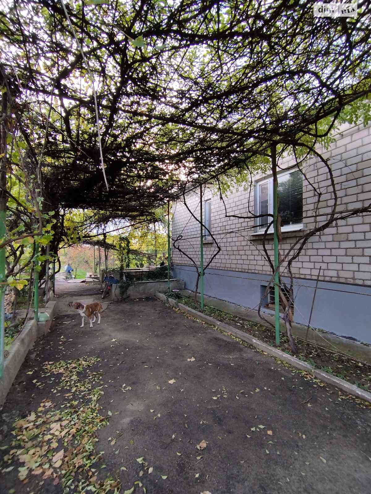 одноповерховий будинок бесідка, 204 кв. м, ракушечник (ракушняк). Продаж у Мішково-Погорілове фото 1