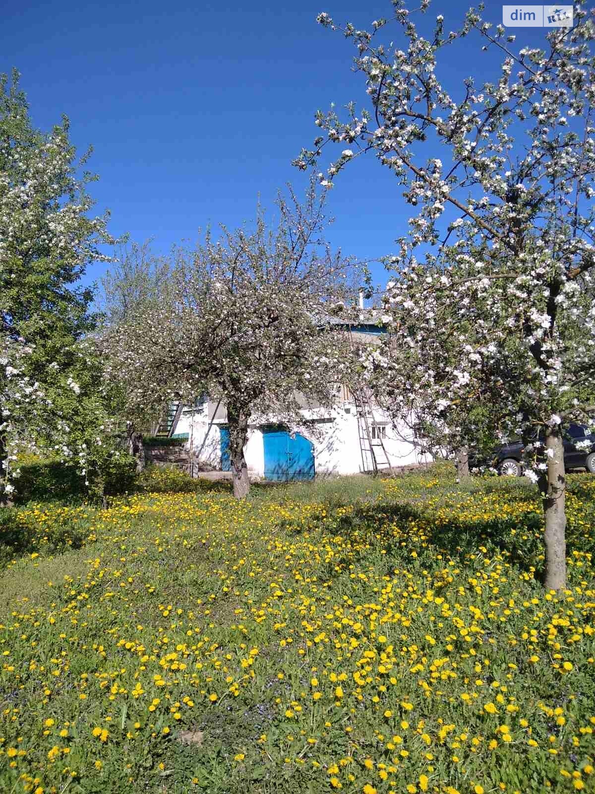 одноэтажный дом, 120 кв. м, ракушечник (ракушняк). Продажа в Мигаловцах фото 1 одноэтажный дом, 120 кв. м, ракушечник (ракушняк). Продажа в Мигаловцах фото 1