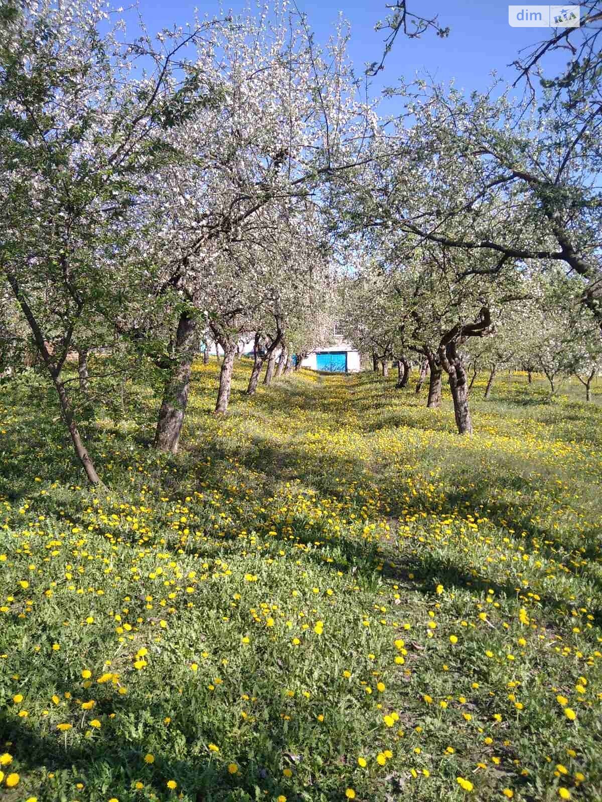 одноэтажный дом, 120 кв. м, ракушечник (ракушняк). Продажа в Мигаловцах фото 1 одноэтажный дом, 120 кв. м, ракушечник (ракушняк). Продажа в Мигаловцах фото 1