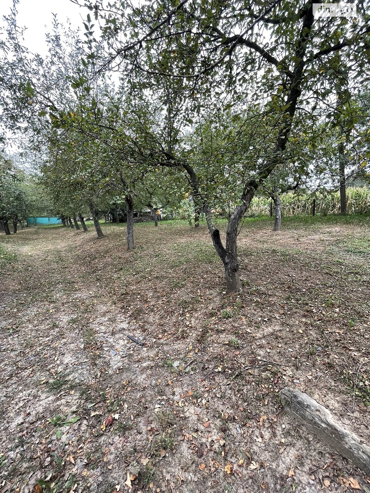 одноэтажный дом, 120 кв. м, ракушечник (ракушняк). Продажа в Мигаловцах фото 1 одноэтажный дом, 120 кв. м, ракушечник (ракушняк). Продажа в Мигаловцах фото 1