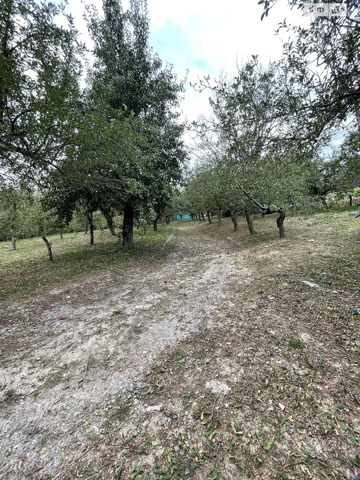 одноэтажный дом, 120 кв. м, ракушечник (ракушняк). Продажа в Мигаловцах фото 1 одноэтажный дом, 120 кв. м, ракушечник (ракушняк). Продажа в Мигаловцах фото 1