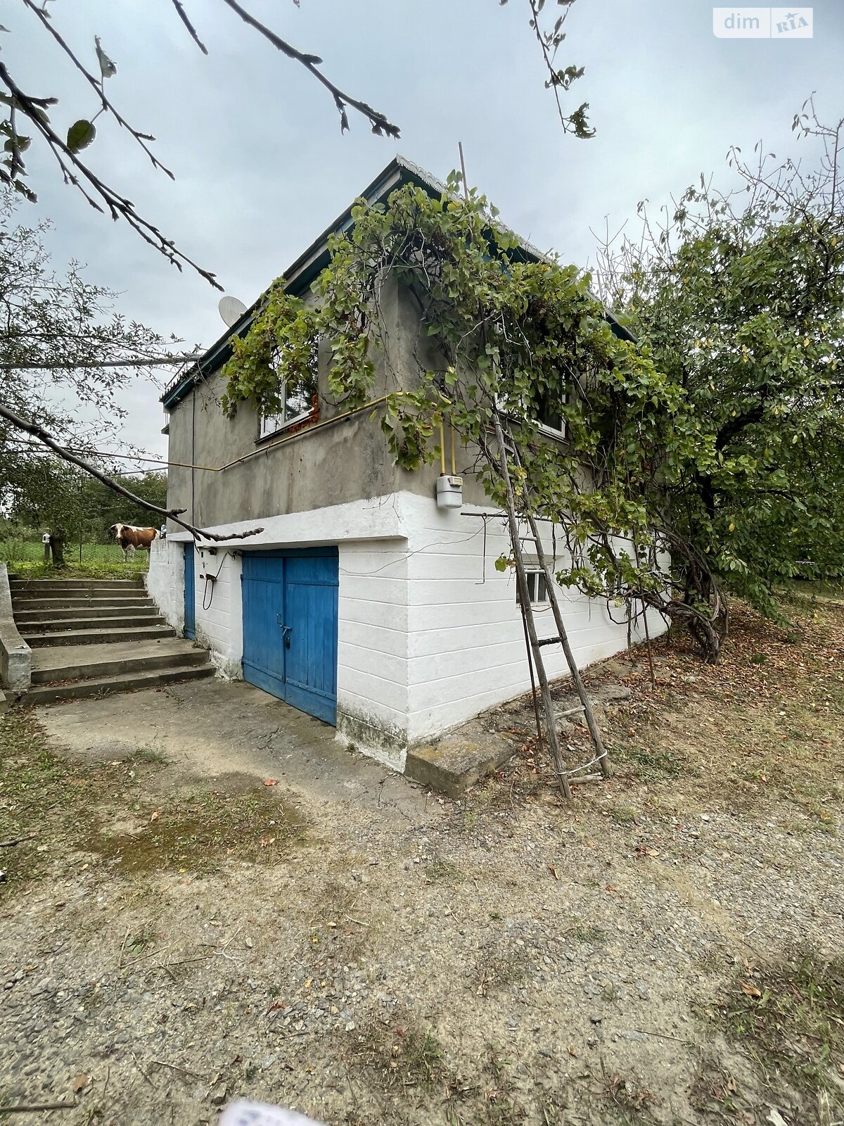 одноэтажный дом, 120 кв. м, ракушечник (ракушняк). Продажа в Мигаловцах фото 1 одноэтажный дом, 120 кв. м, ракушечник (ракушняк). Продажа в Мигаловцах фото 1