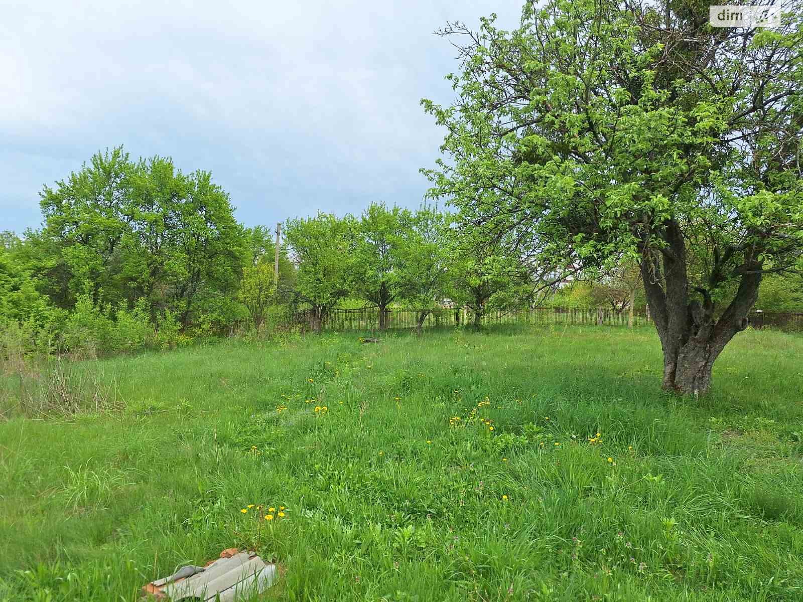 одноэтажный дом с отоплением, 29 кв. м, глинобитный. Продажа в Михайловке фото 1 одноэтажный дом с отоплением, 29 кв. м, глинобитный. Продажа в Михайловке фото 1