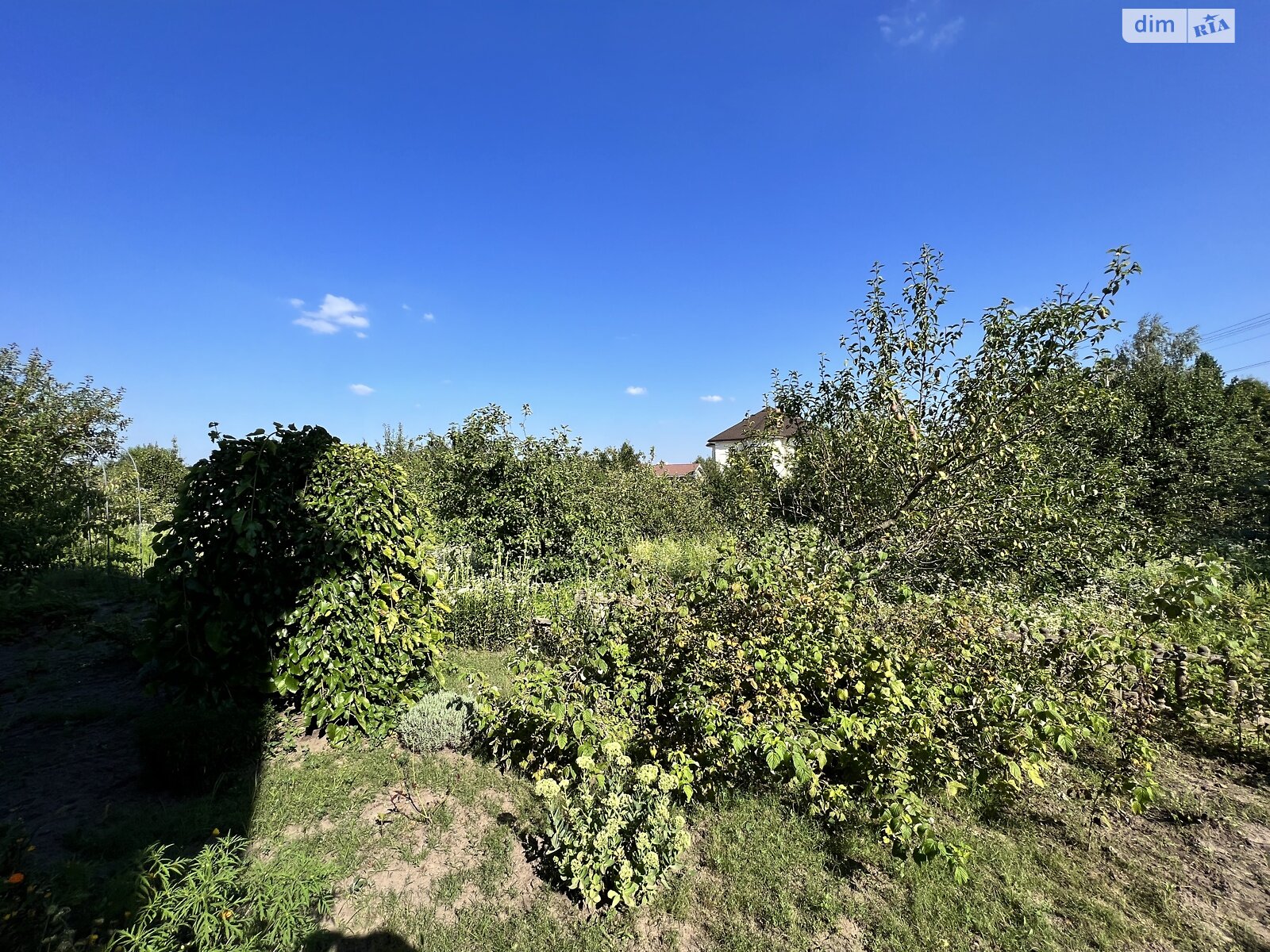 двоповерховий будинок, 303.8 кв. м, цегла. Продаж у Михайлівці-Рубежівці фото 1 двоповерховий будинок, 303.8 кв. м, цегла. Продаж у Михайлівці-Рубежівці фото 1