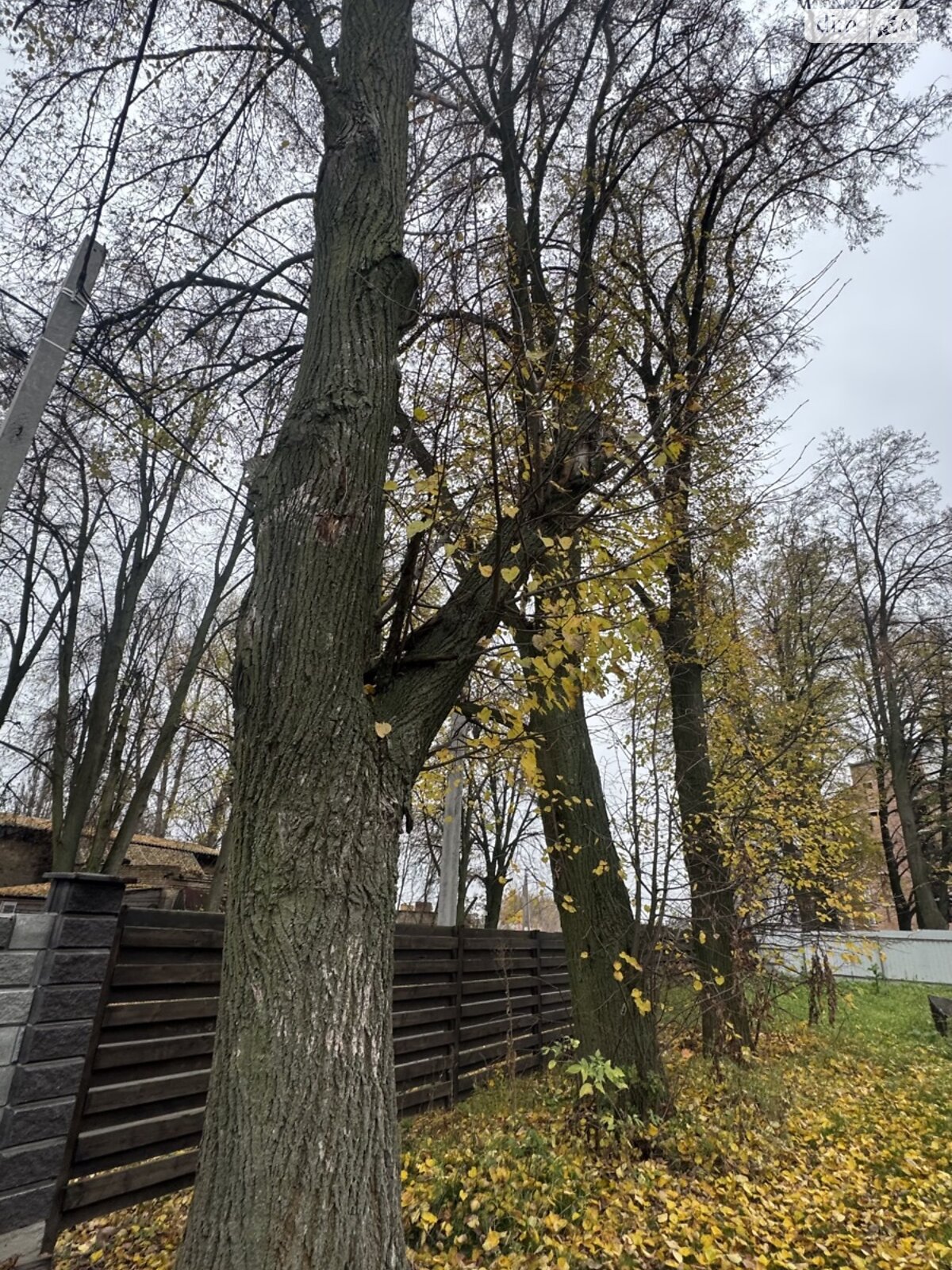 двухэтажный дом с отоплением, 120 кв. м, кирпич. Продажа в Михайловке-Рубежовке фото 1