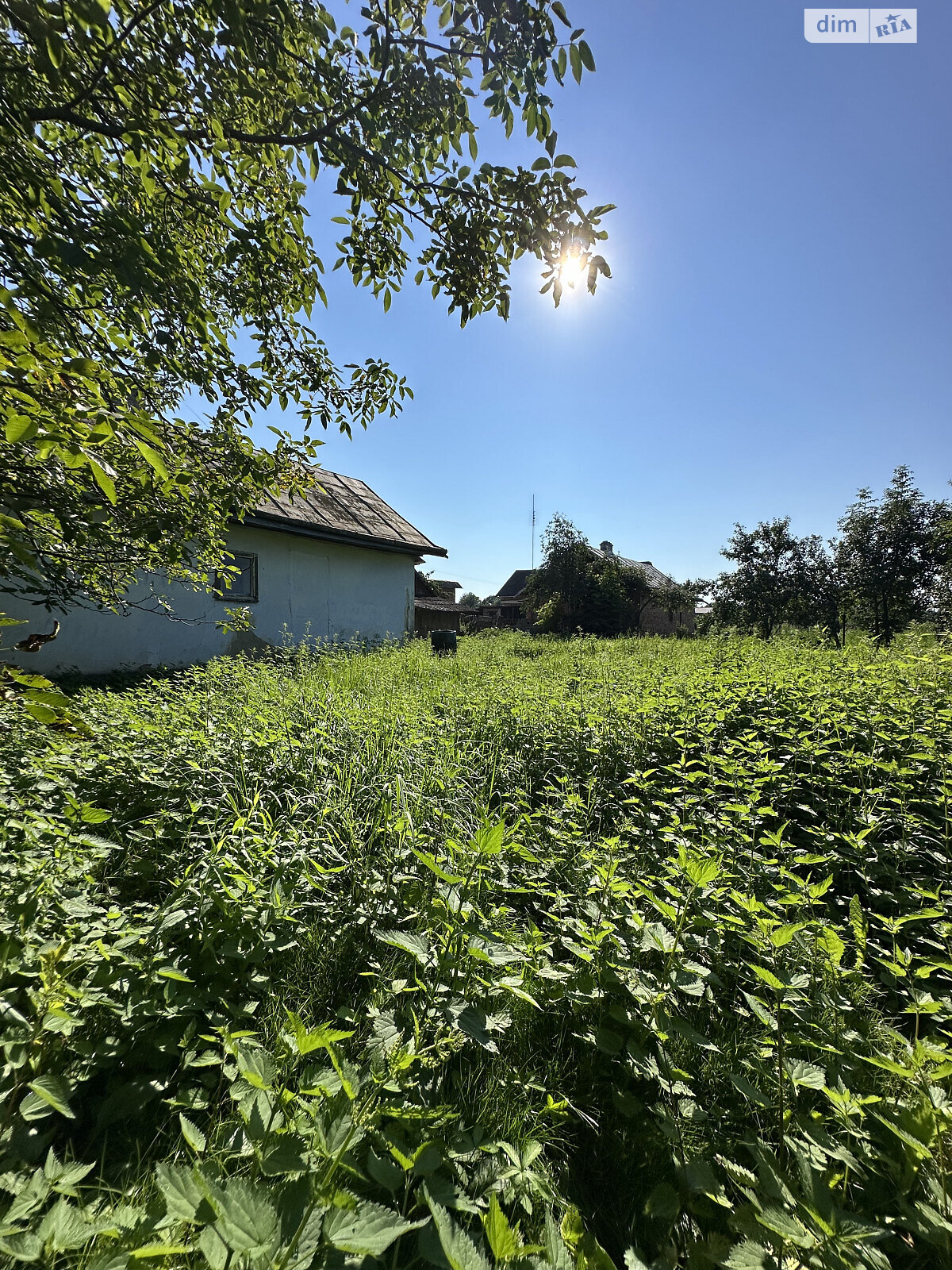 одноэтажный дом, 38.3 кв. м, зруб. Продажа в Миклашове фото 1