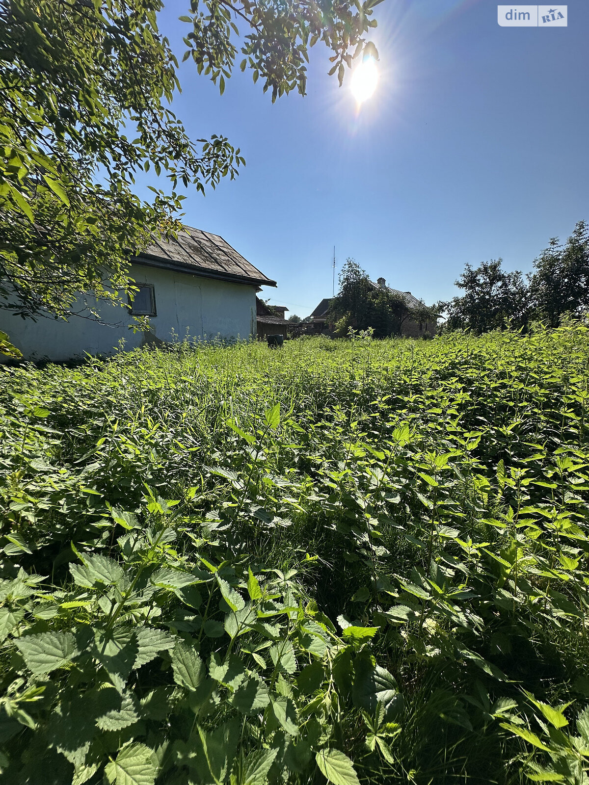 одноэтажный дом, 38.3 кв. м, зруб. Продажа в Миклашове фото 1