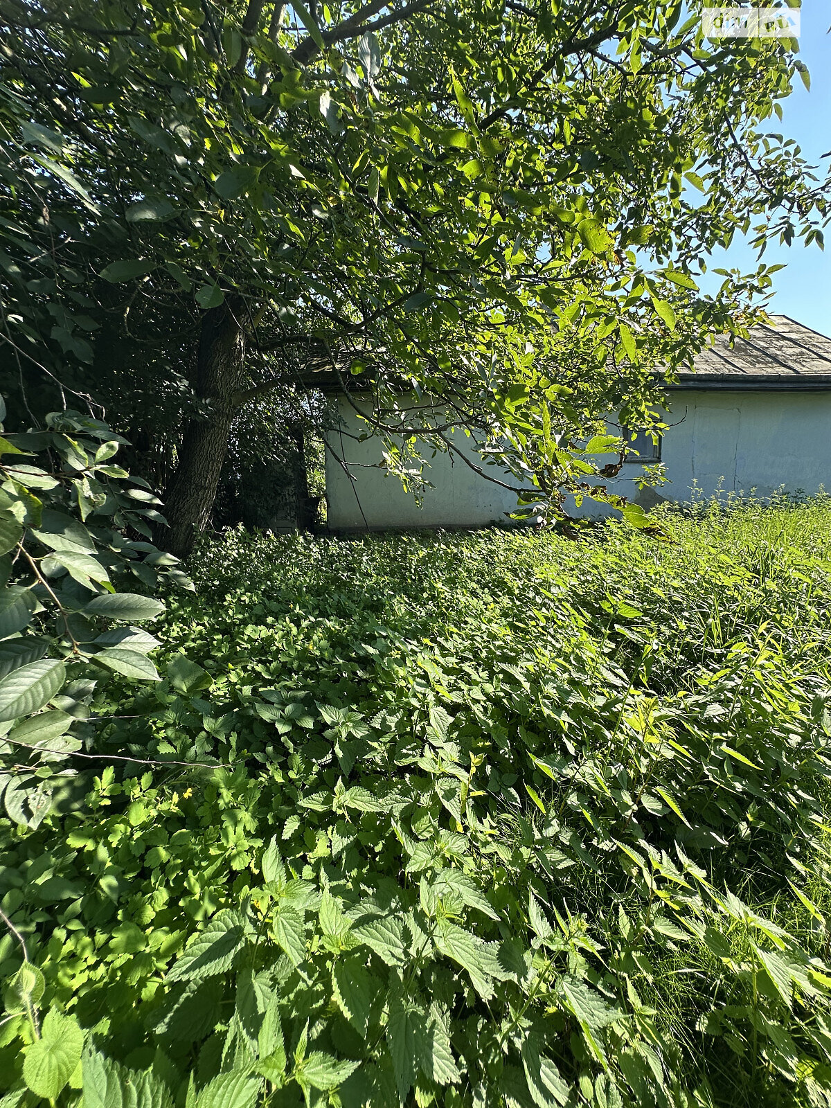 одноэтажный дом, 38.3 кв. м, зруб. Продажа в Миклашове фото 1