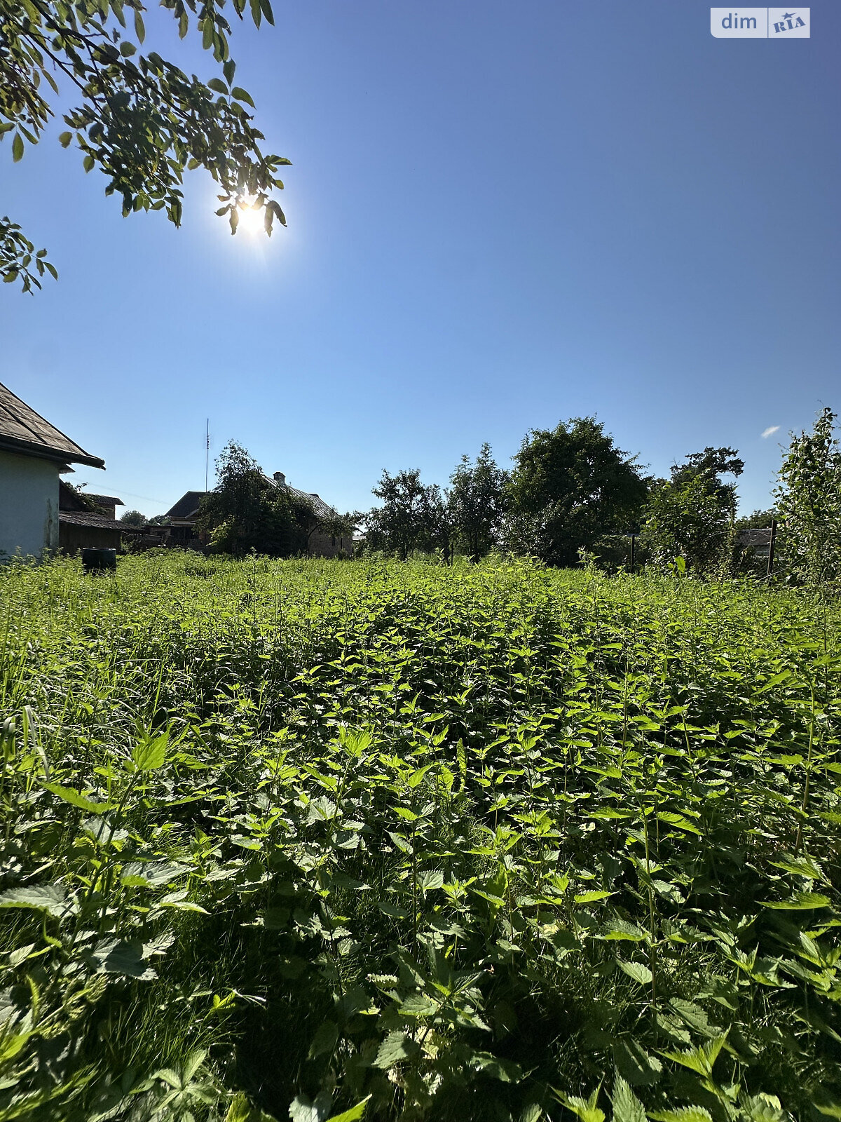 одноэтажный дом, 38.3 кв. м, зруб. Продажа в Миклашове фото 1