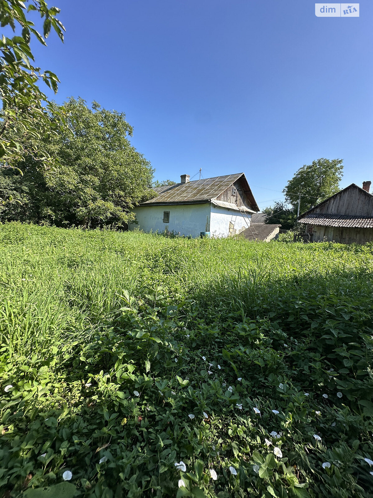 одноэтажный дом, 38.3 кв. м, зруб. Продажа в Миклашове фото 1