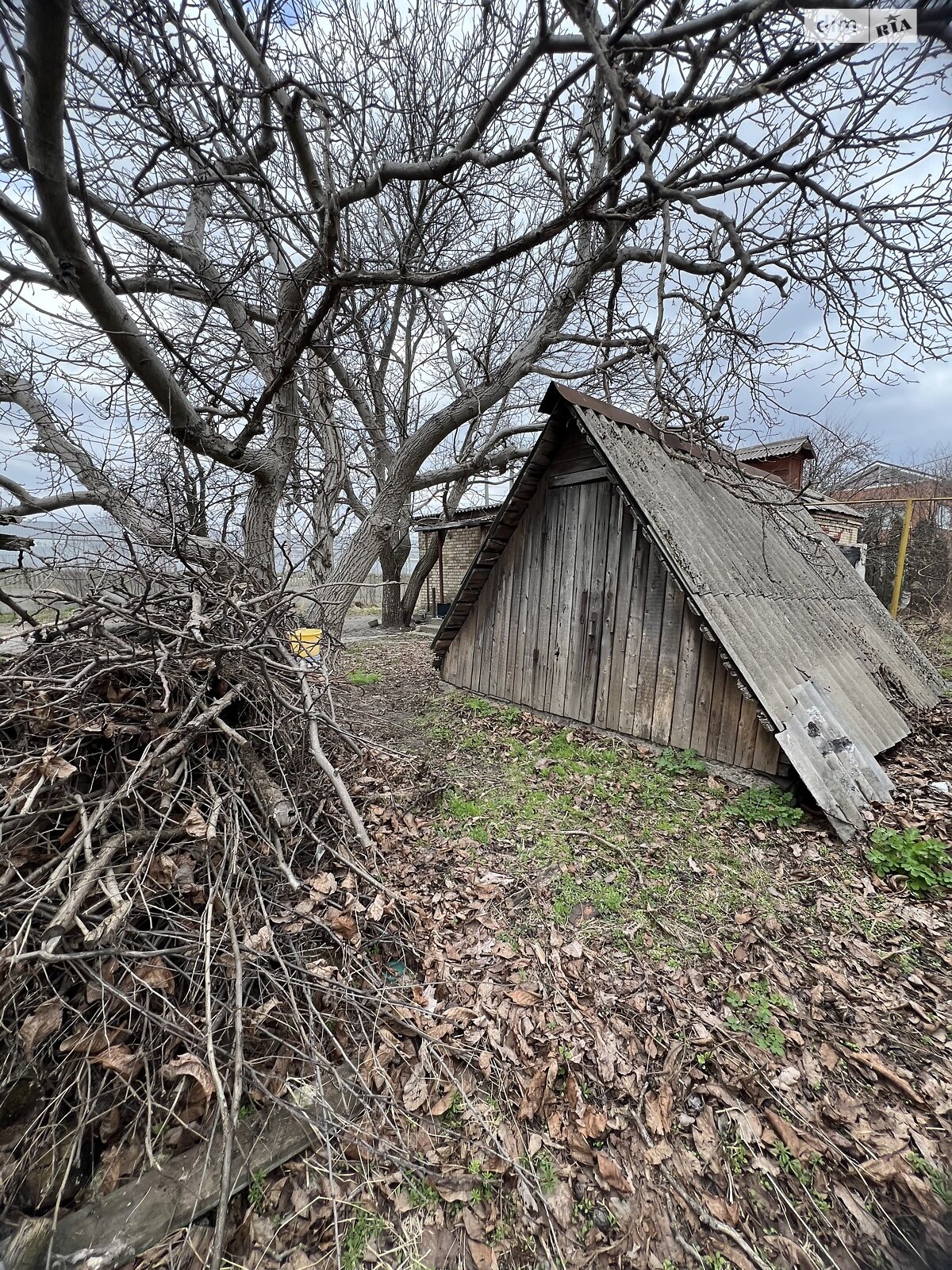 одноповерховий будинок з верандою, 67.7 кв. м, цегла. Продаж у Милій фото 1 одноповерховий будинок з верандою, 67.7 кв. м, цегла. Продаж у Милій фото 1