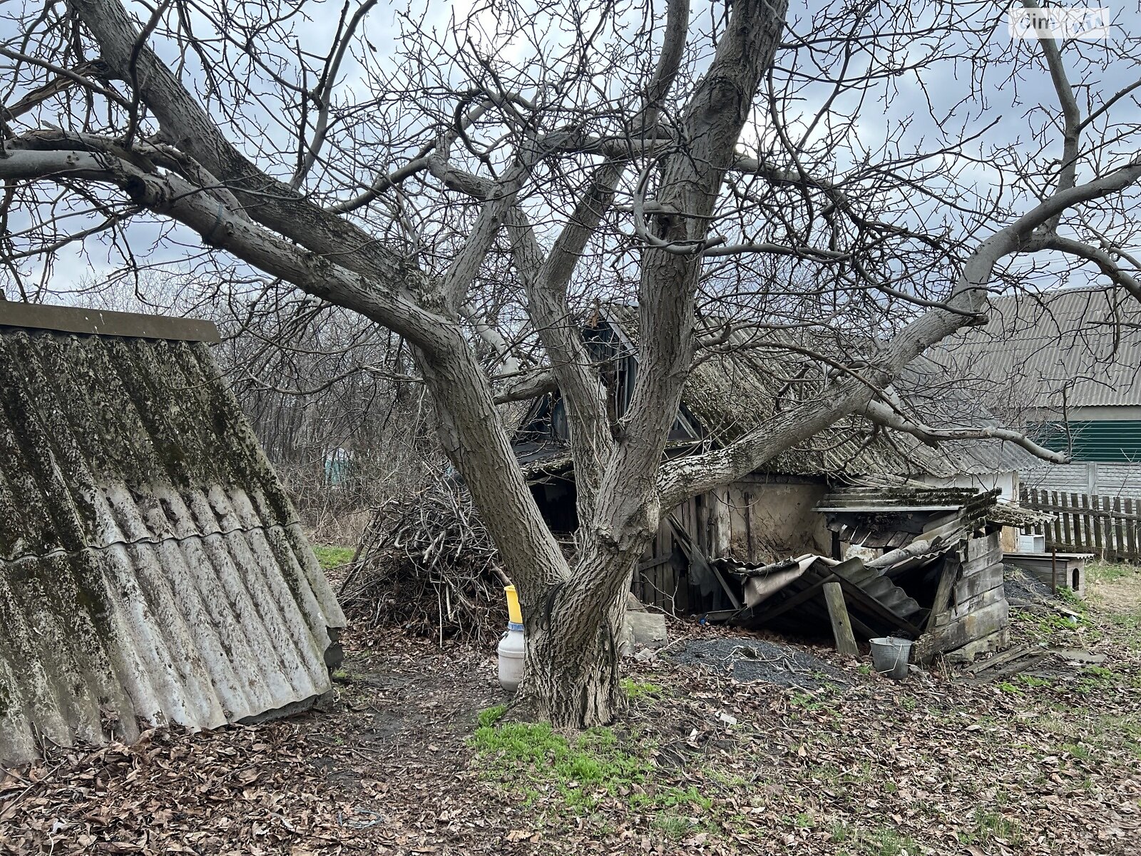 одноповерховий будинок з верандою, 67.7 кв. м, цегла. Продаж у Милій фото 1 одноповерховий будинок з верандою, 67.7 кв. м, цегла. Продаж у Милій фото 1