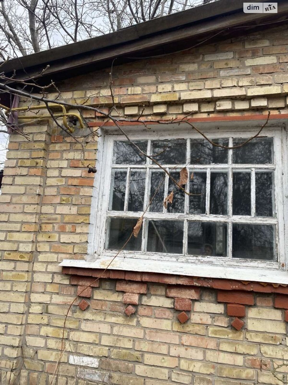 одноповерховий будинок, 90 кв. м, кирпич. Продаж у Милій фото 1 одноповерховий будинок, 90 кв. м, кирпич. Продаж у Милій фото 1