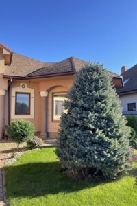 одноповерховий будинок з верандою, 250 кв. м, кирпич. Продаж у Минаї фото 2