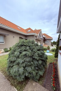 двоповерховий будинок з опаленням, 336.94 кв. м, пінобетон. Продаж у Минаї фото 2