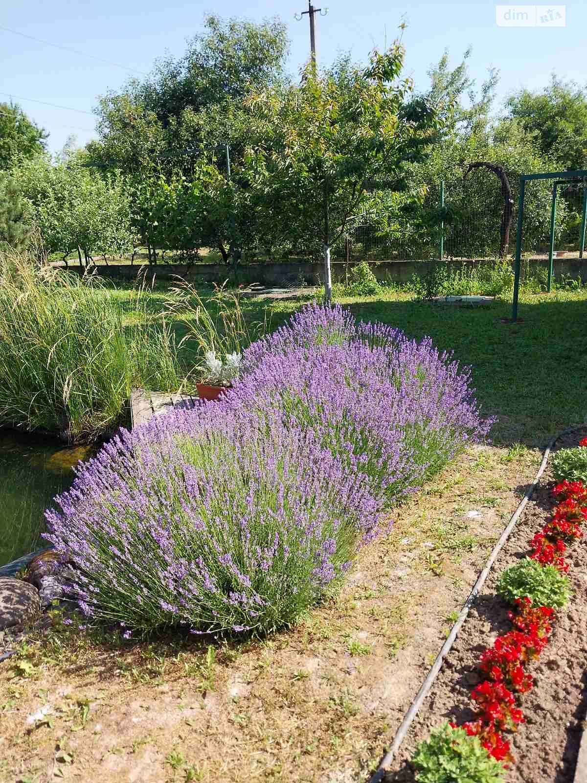двоповерховий будинок з опаленням, 336.94 кв. м, пінобетон. Продаж у Минаї фото 1 двоповерховий будинок з опаленням, 336.94 кв. м, пінобетон. Продаж у Минаї фото 1