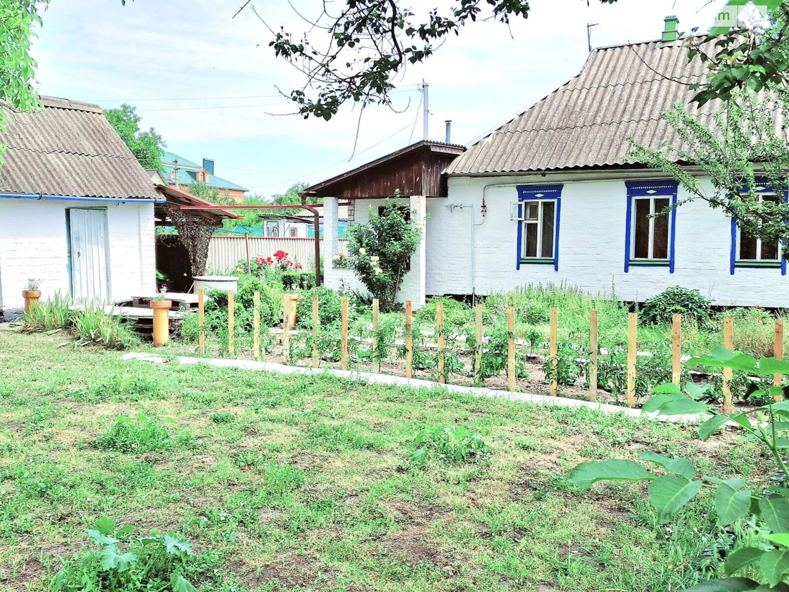 одноэтажный дом, 57 кв. м, кирпич. Продажа в Миргороде район Миргород фото 1 одноэтажный дом, 57 кв. м, кирпич. Продажа в Миргороде район Миргород фото 1