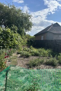 одноэтажный дом с гаражом, 59.9 кв. м, кирпич. Продажа в Миргороде фото 2 одноэтажный дом с гаражом, 59.9 кв. м, кирпич. Продажа в Миргороде фото 2