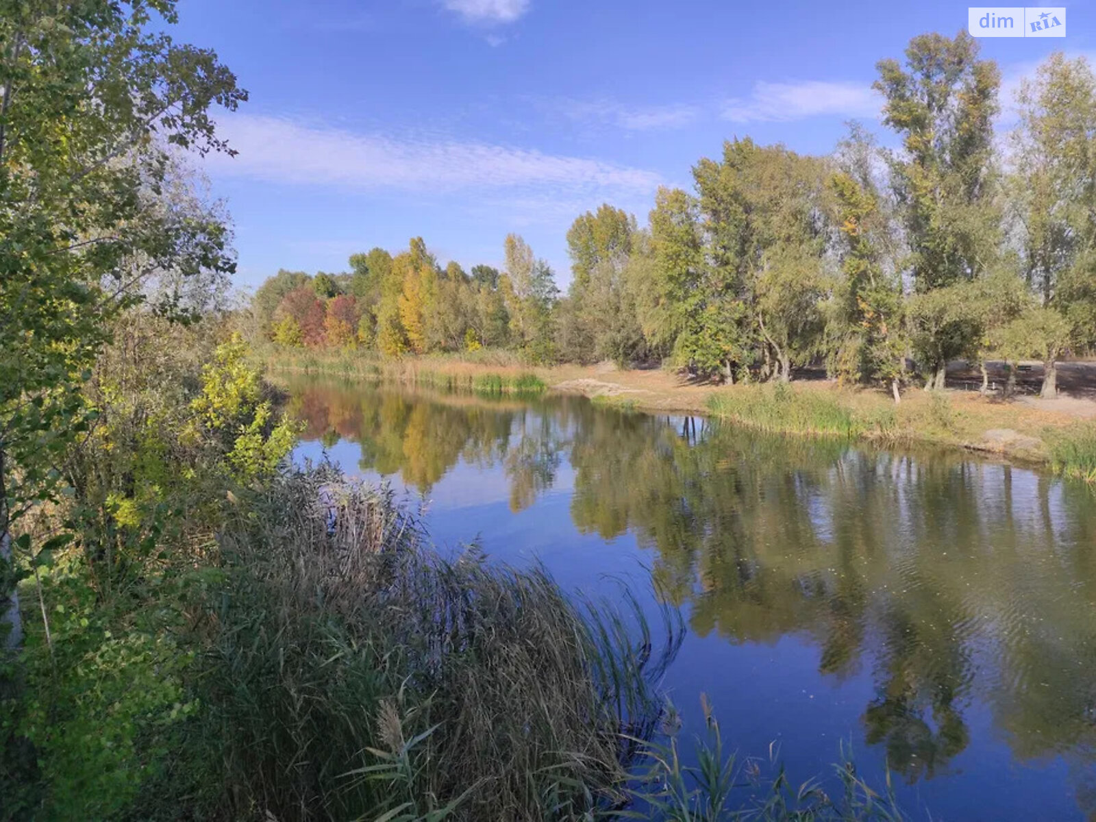 одноповерховий будинок з опаленням, 75 кв. м, цегла. Продаж у Миргороді фото 1