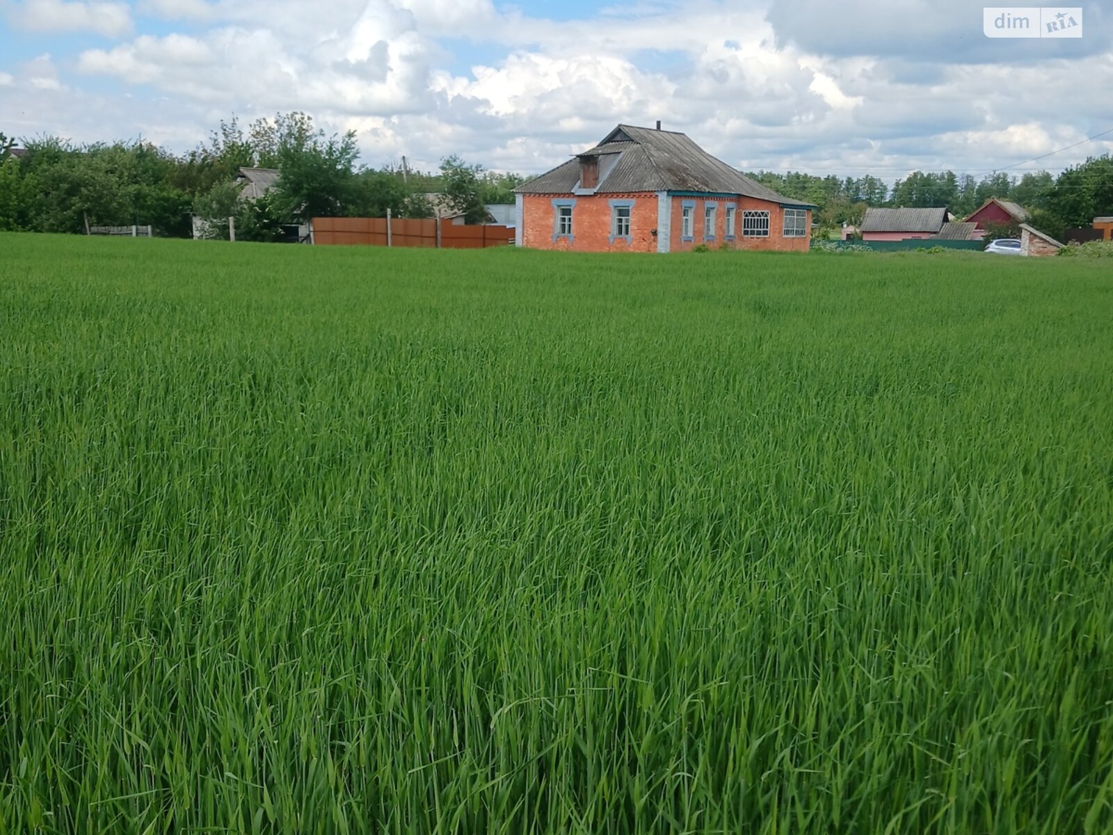 одноэтажный дом, 70 кв. м, кирпич. Продажа в Мироновке район Мироновка фото 1