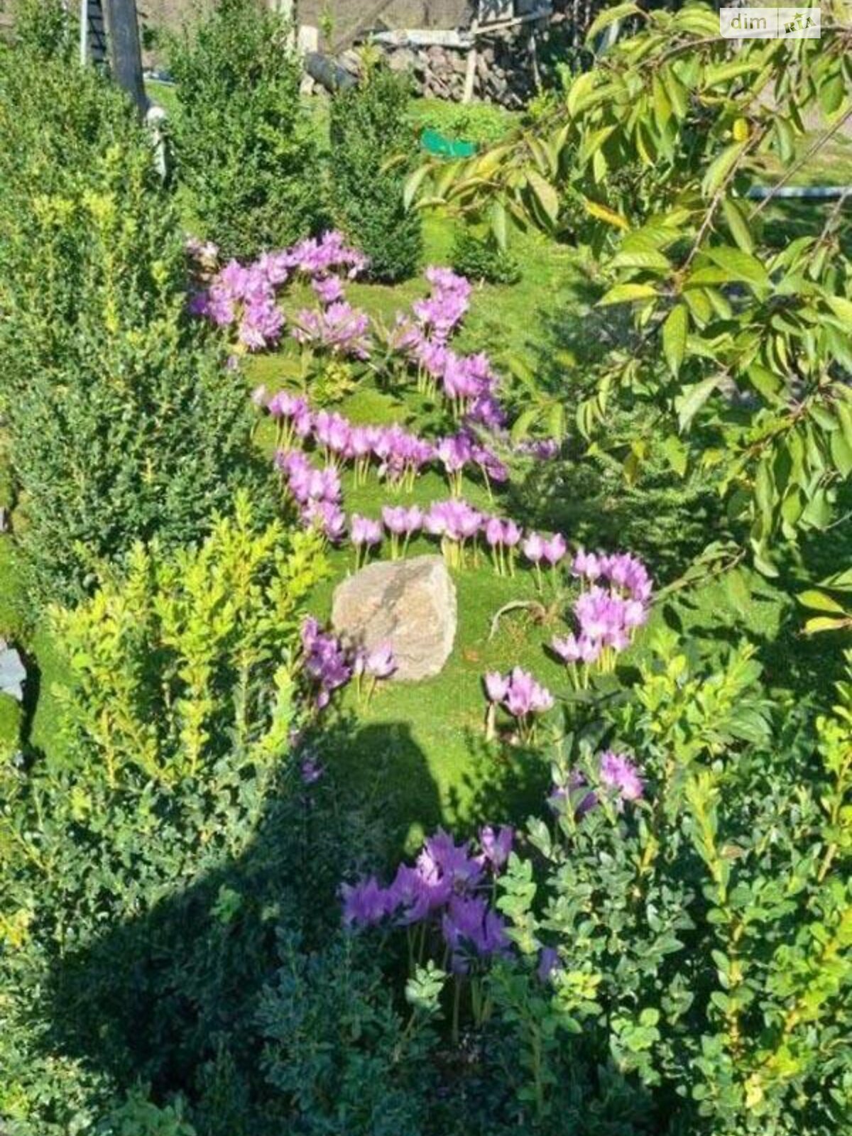 одноэтажный дом беседка, 63 кв. м, кирпич. Продажа в Мироновке район Мироновка фото 1