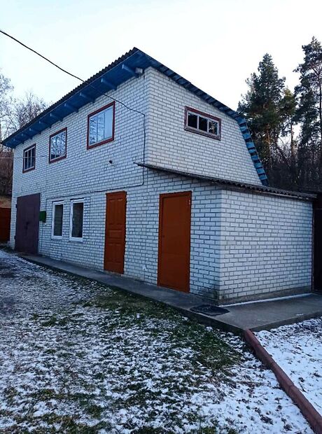 одноповерховий будинок з каміном, 110 кв. м, цегла. Продаж в Владиславці (Київська обл.) фото 1 одноповерховий будинок з каміном, 110 кв. м, цегла. Продаж в Владиславці (Київська обл.) фото 1