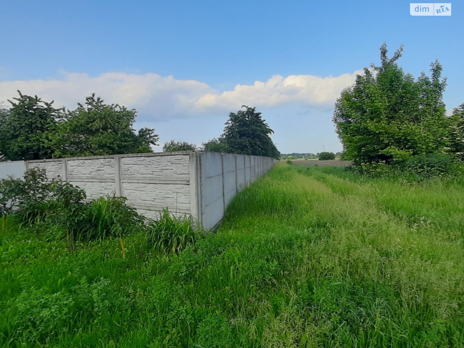 одноповерховий будинок з опаленням, 41 кв. м, цегла. Продаж у Мирівці фото 1 одноповерховий будинок з опаленням, 41 кв. м, цегла. Продаж у Мирівці фото 1