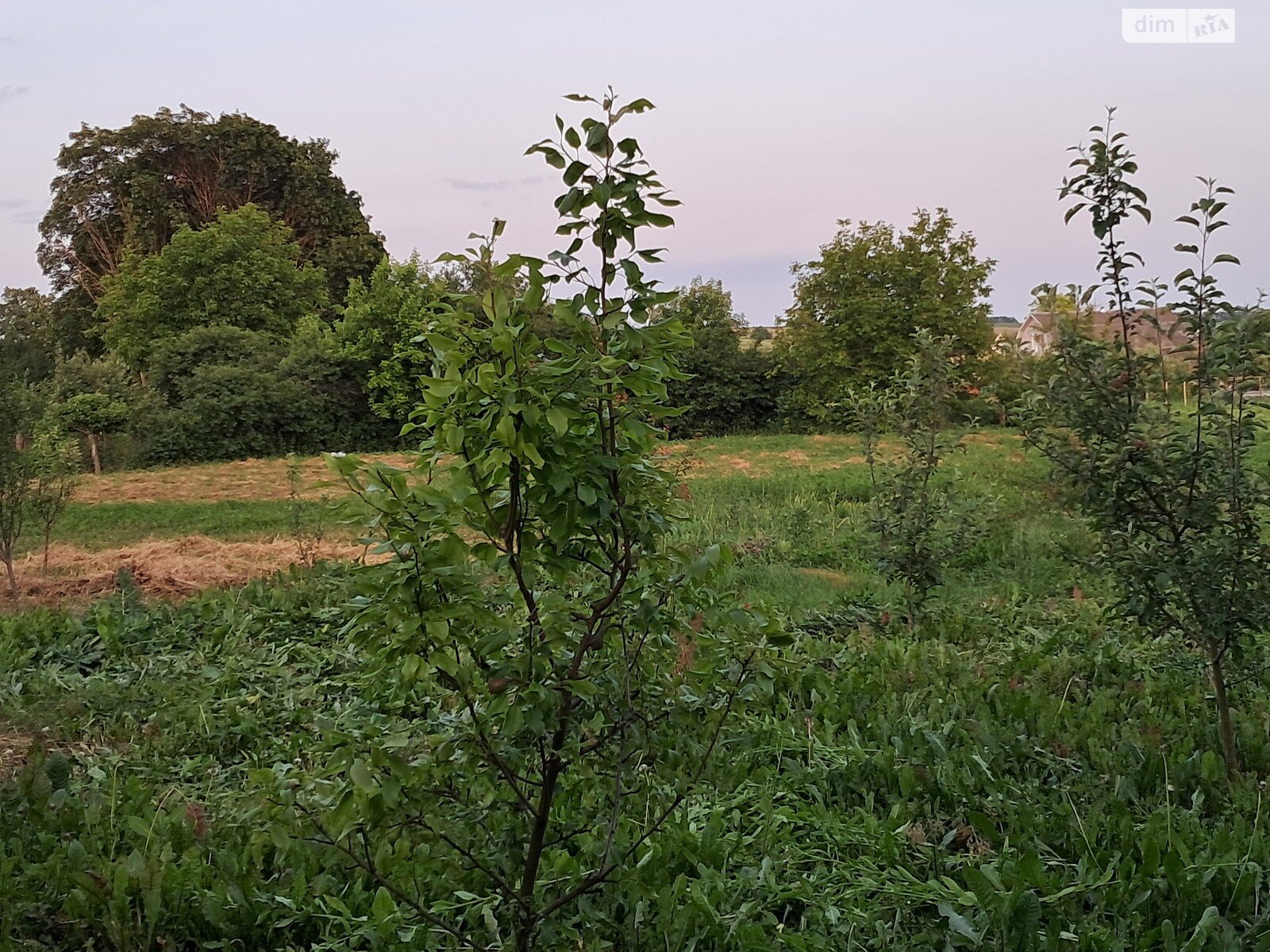 одноэтажный дом, 67.4 кв. м, инкерманский камень. Продажа в Михновцах фото 1