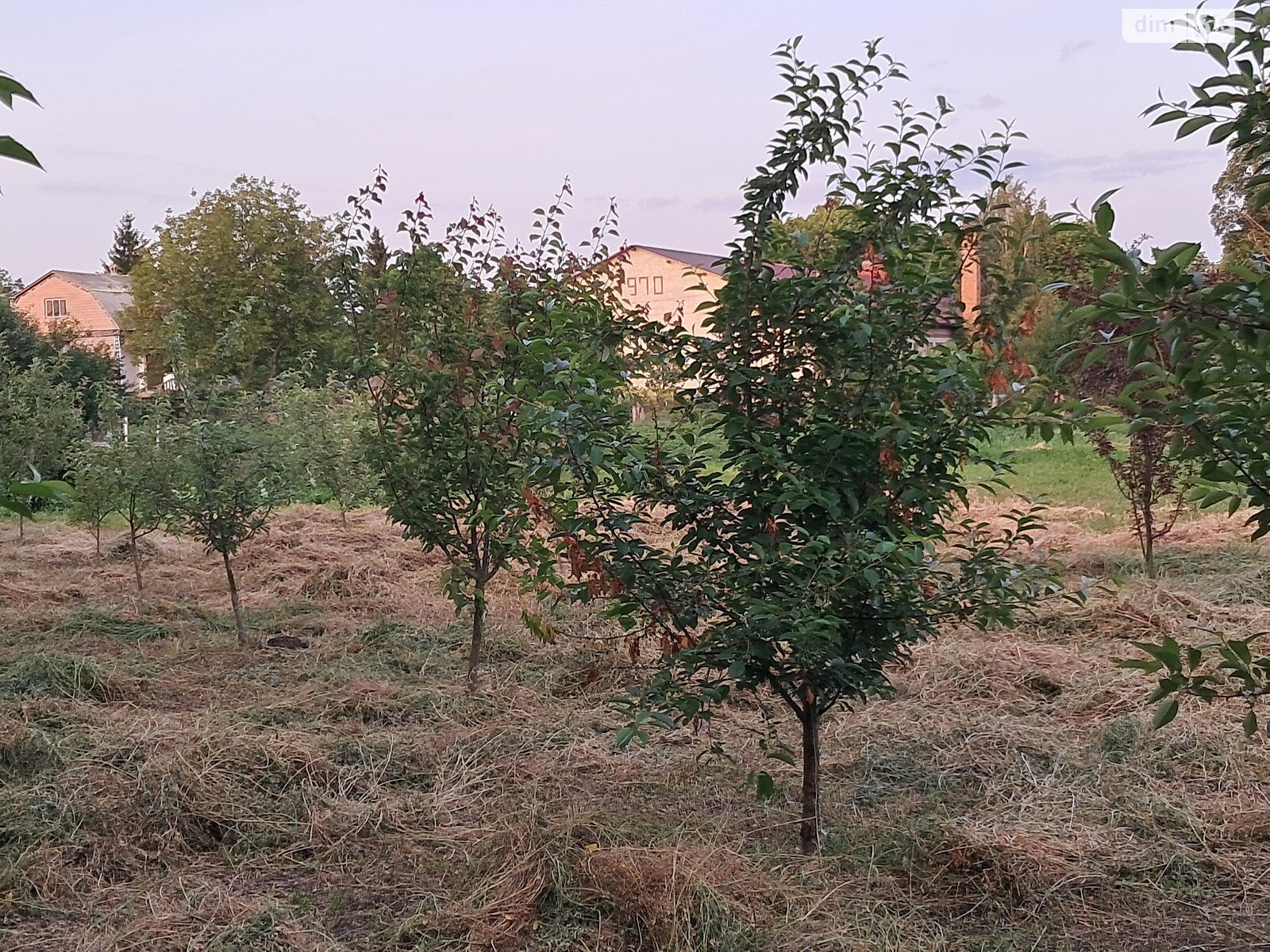 одноэтажный дом, 67.4 кв. м, инкерманский камень. Продажа в Михновцах фото 1