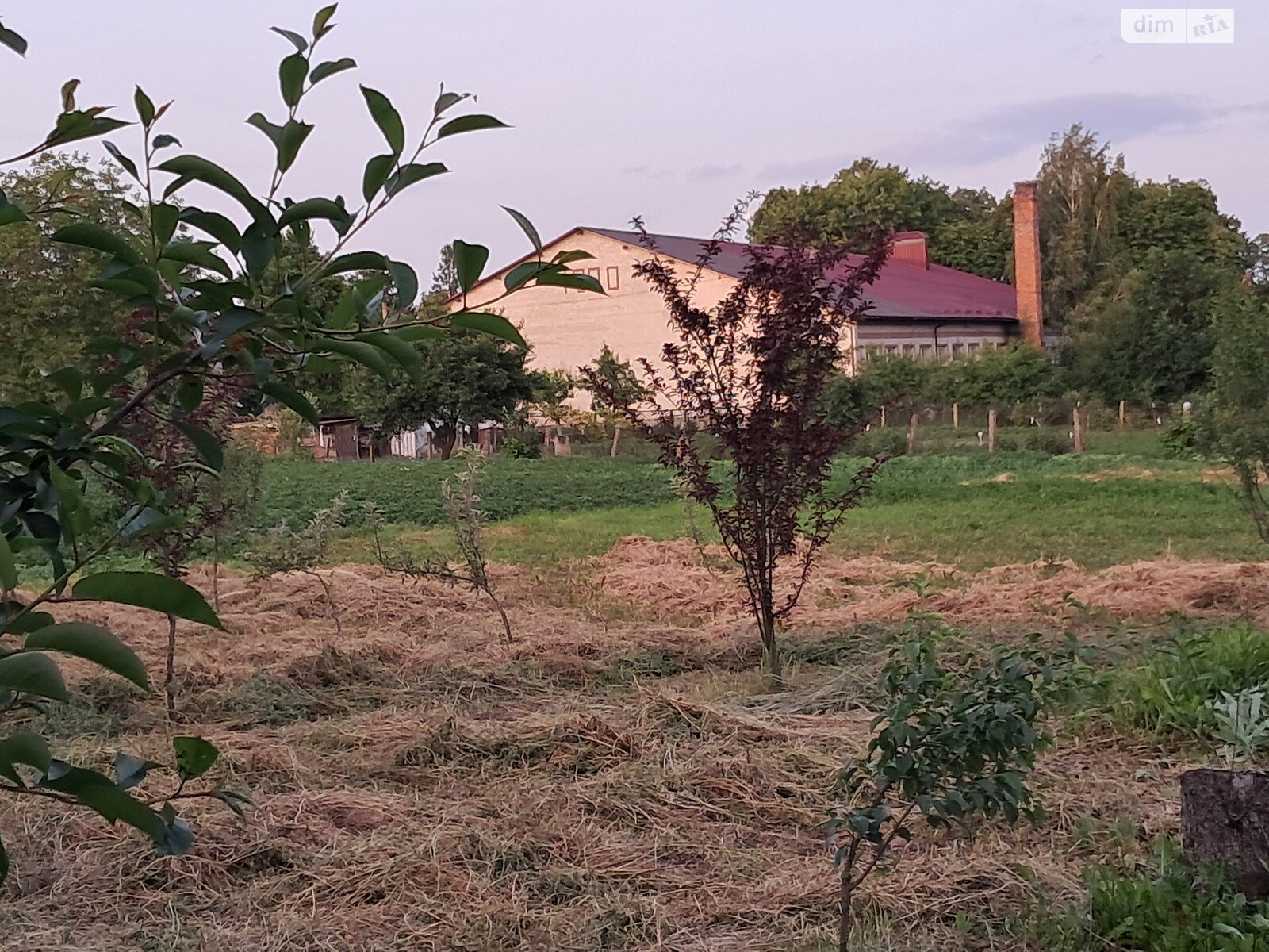 одноэтажный дом, 67.4 кв. м, инкерманский камень. Продажа в Михновцах фото 1