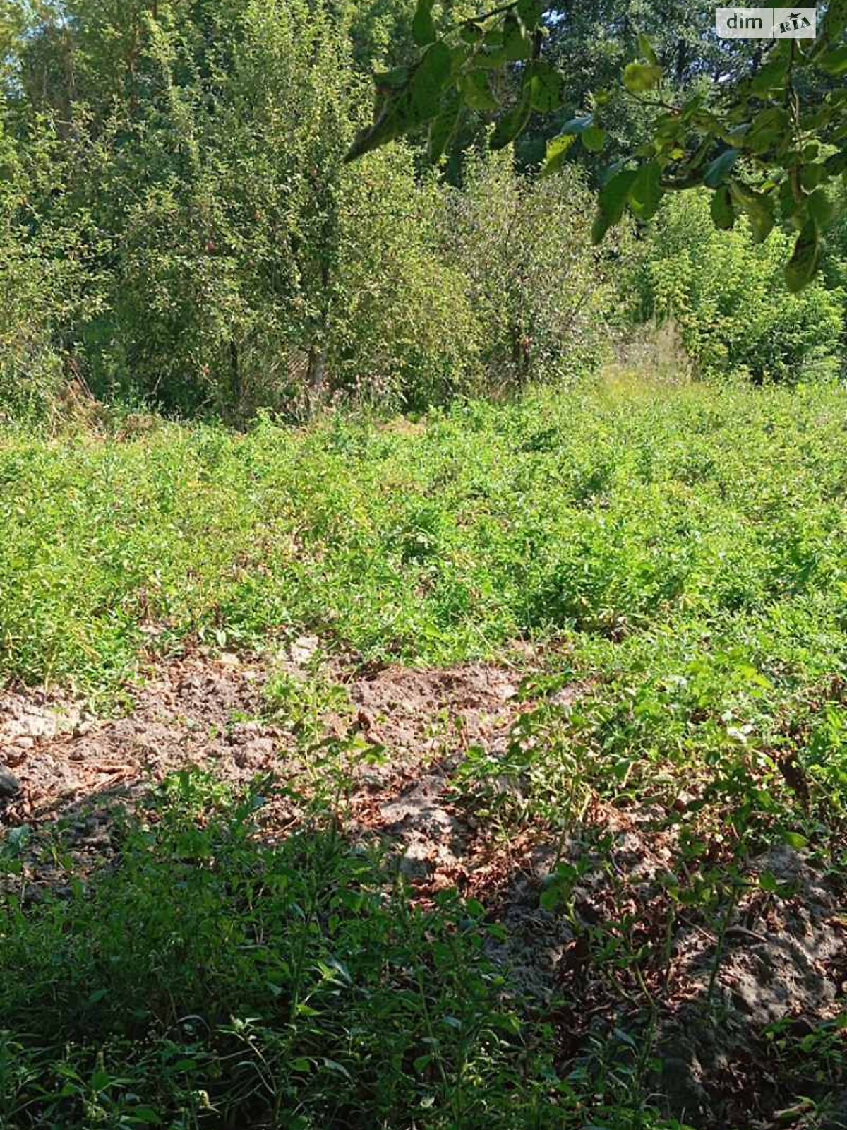 одноповерховий будинок, 59.5 кв. м, цегла. Продаж у Мізякове фото 1