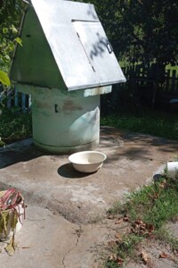 одноповерховий будинок, 59.5 кв. м, цегла. Продаж у Мізякове фото 2