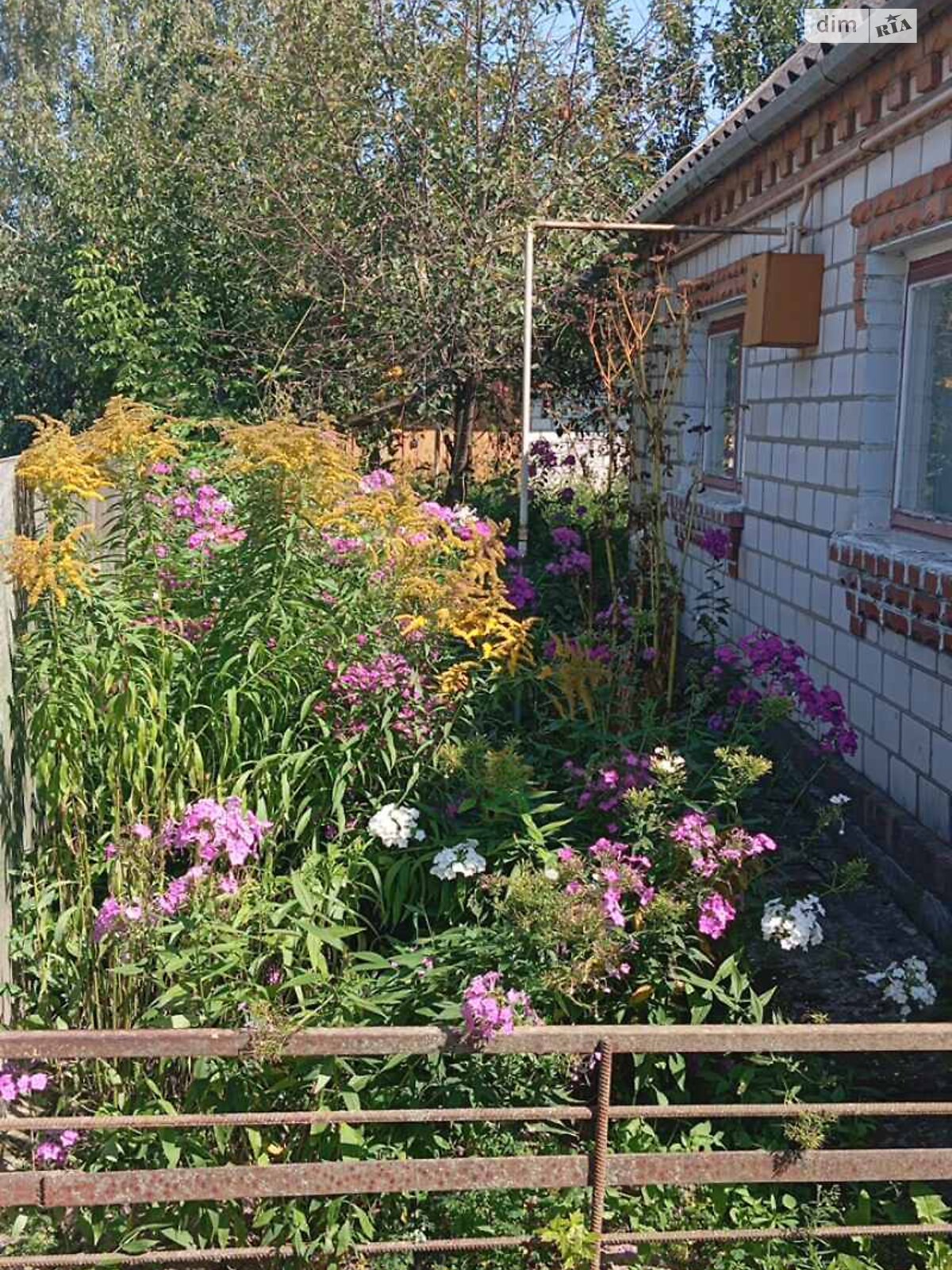 одноповерховий будинок, 59.5 кв. м, цегла. Продаж у Мізякове фото 1