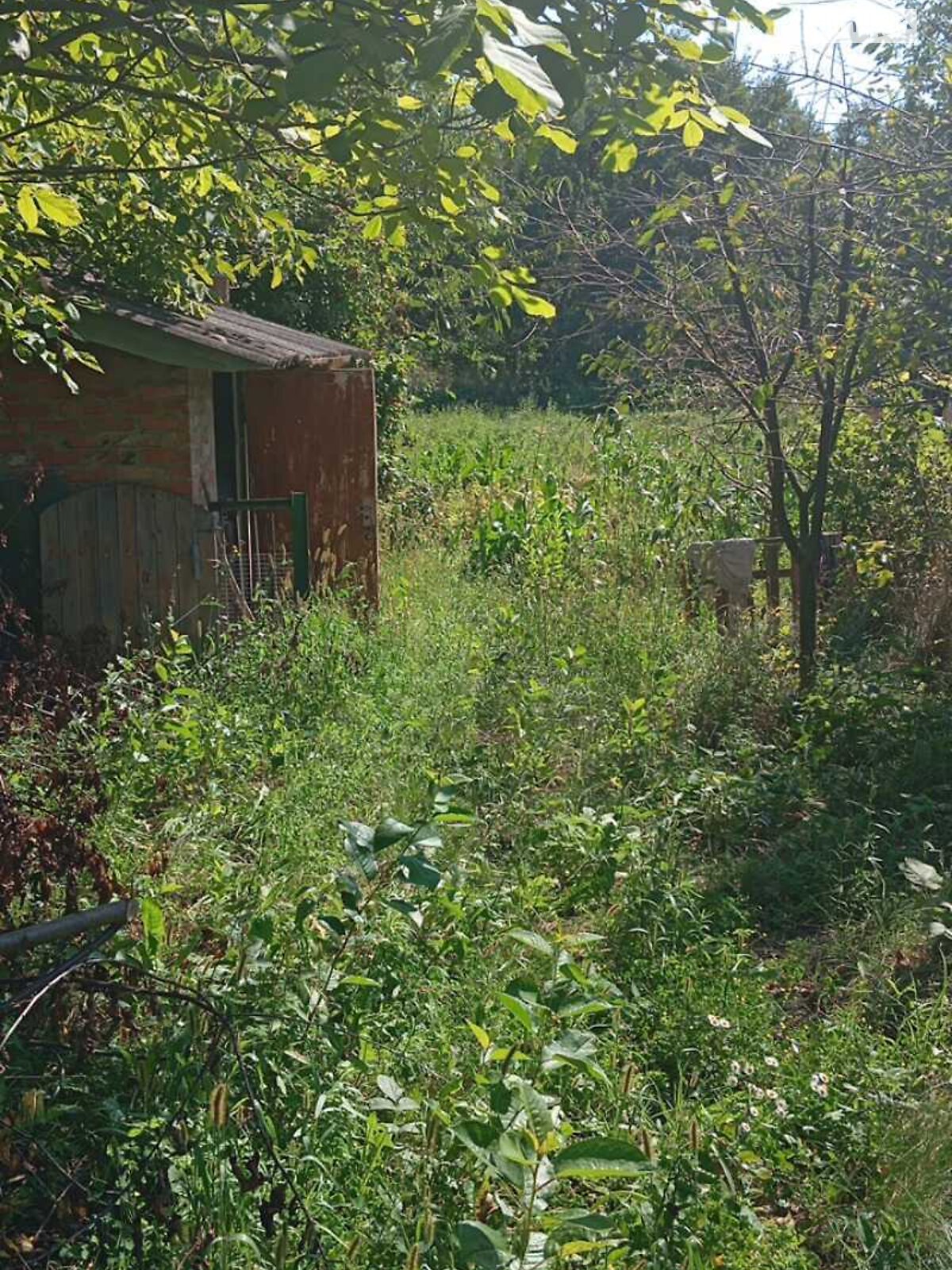 одноповерховий будинок, 59.5 кв. м, цегла. Продаж у Мізякове фото 1