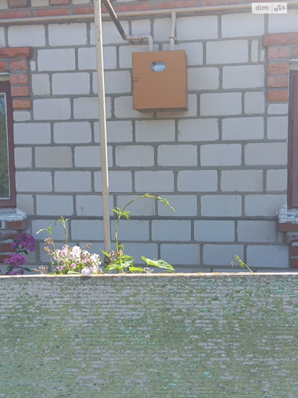 одноповерховий будинок, 59.5 кв. м, цегла. Продаж у Мізякове фото 1