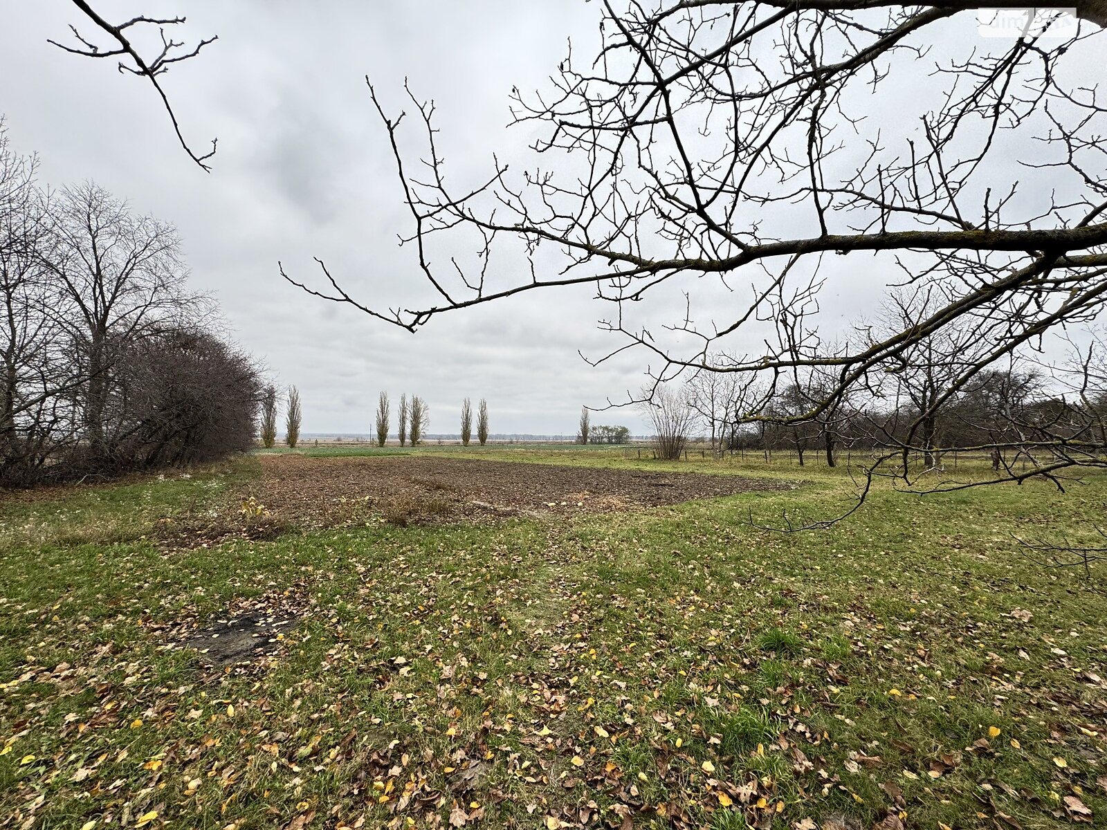 одноповерховий будинок з верандою, 56.4 кв. м, цегла. Продаж у Мизяківських Хуторах фото 1 одноповерховий будинок з верандою, 56.4 кв. м, цегла. Продаж у Мизяківських Хуторах фото 1