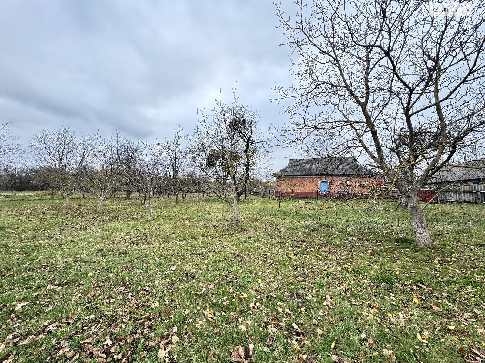 одноповерховий будинок з верандою, 56.4 кв. м, цегла. Продаж у Мизяківських Хуторах фото 1 одноповерховий будинок з верандою, 56.4 кв. м, цегла. Продаж у Мизяківських Хуторах фото 1