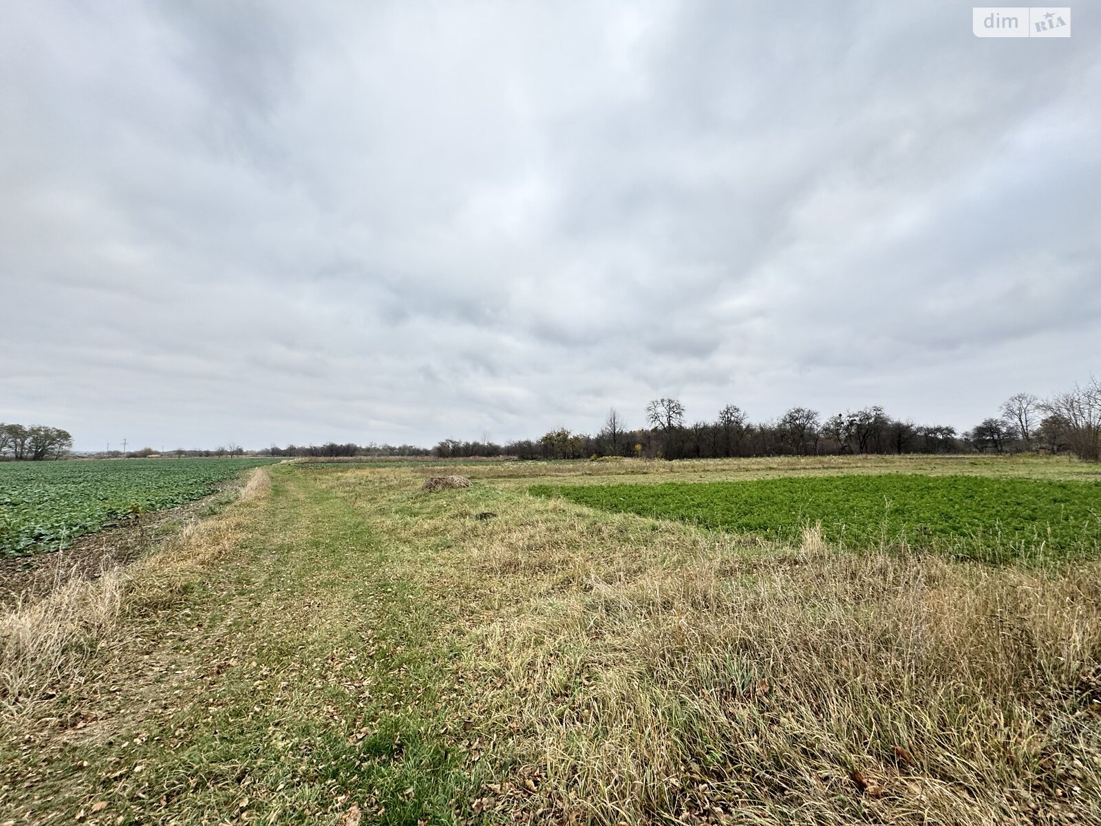 одноповерховий будинок з верандою, 56.4 кв. м, цегла. Продаж у Мизяківських Хуторах фото 1 одноповерховий будинок з верандою, 56.4 кв. м, цегла. Продаж у Мизяківських Хуторах фото 1