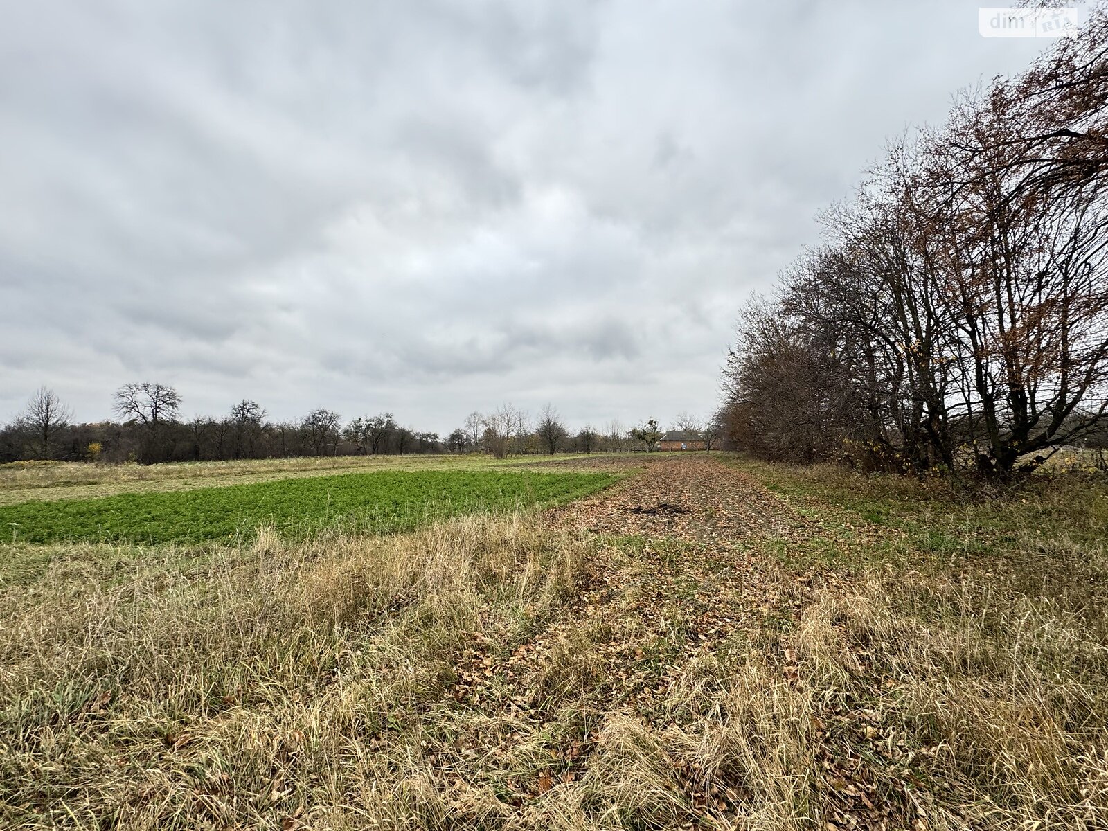 одноповерховий будинок з верандою, 56.4 кв. м, цегла. Продаж у Мизяківських Хуторах фото 1 одноповерховий будинок з верандою, 56.4 кв. м, цегла. Продаж у Мизяківських Хуторах фото 1