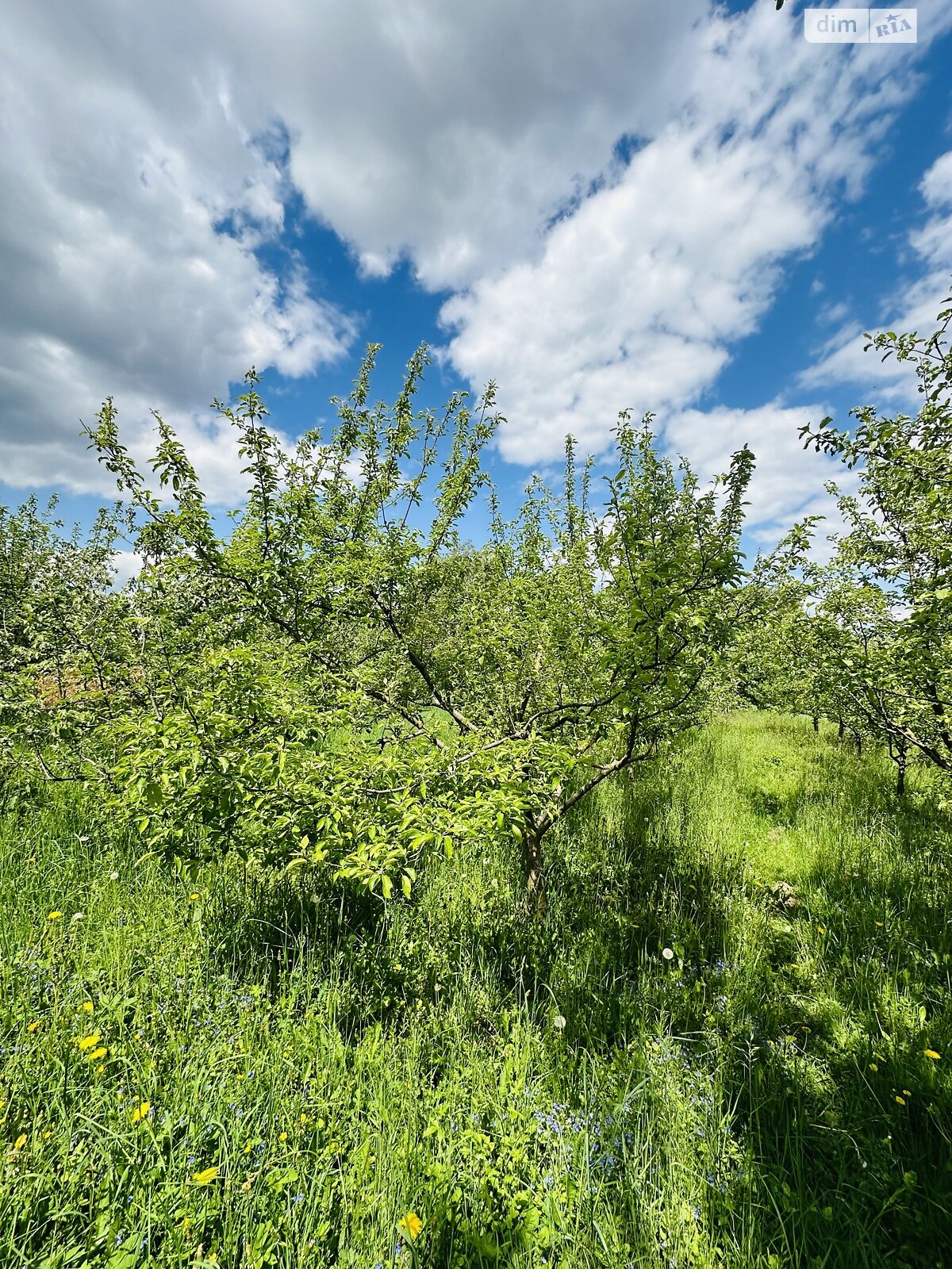 одноповерховий будинок з гаражем, 75 кв. м, кирпич. Продаж у Мизяківських Хуторах фото 1 одноповерховий будинок з гаражем, 75 кв. м, кирпич. Продаж у Мизяківських Хуторах фото 1