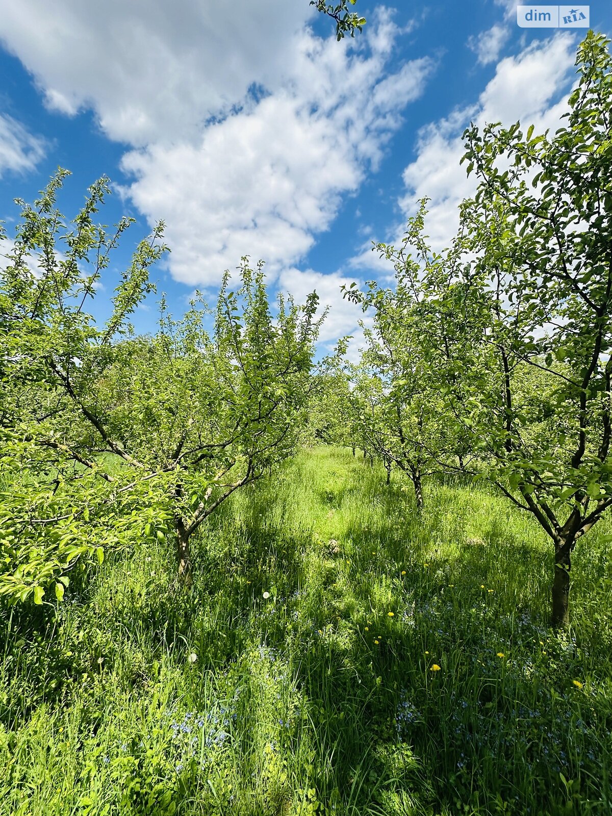 одноповерховий будинок з гаражем, 75 кв. м, кирпич. Продаж у Мизяківських Хуторах фото 1 одноповерховий будинок з гаражем, 75 кв. м, кирпич. Продаж у Мизяківських Хуторах фото 1