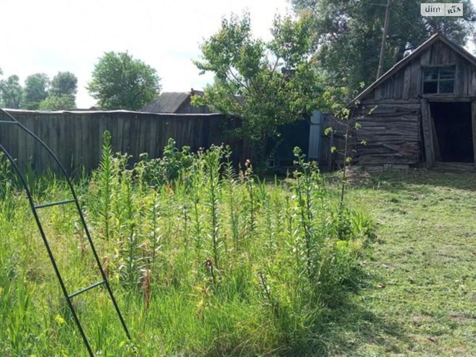 одноповерховий будинок, 58 кв. м, сруб. Продаж у Мньові фото 1 одноповерховий будинок, 58 кв. м, сруб. Продаж у Мньові фото 1